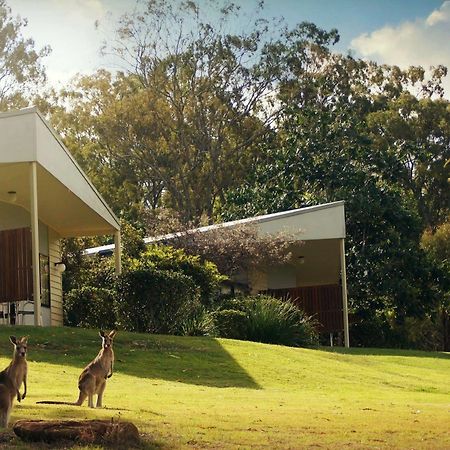Boonah Valley Motel Экстерьер фото